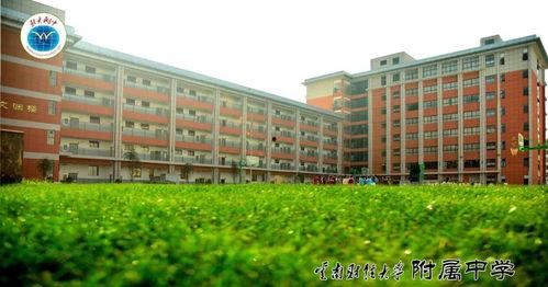 云南财大新生爆料视频,揭秘校园生活与学习环境 第1张 云南财大新生爆料视频,揭秘校园生活与学习环境 第1张