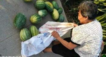 射阳吃瓜最新事件爆料,揭秘背后惊人真相  第3张